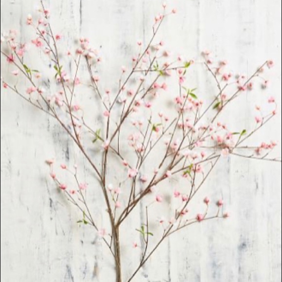 WELCOME TO LOVE, LAUREL CLOSET! - Picture 16 of 16